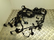 BMW 8589806, 859163507 5 (G30) 2018 Harness