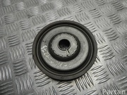 RENAULT E111126A SCÉNIC III (JZ0/1_) 2015 Guide Pulley