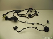 LAND ROVER 113631 DISCOVERY IV (L319) 2013 Harness for interior