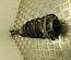 Alfa Romeo 50544249 GIULIA (952_) 2017 suspension strut, complete Right Front - Thumbnail 1