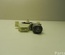 Škoda 5JA 959 812 G / 5JA959812G RAPID (NH3) 2014 Window lifter motor Right Rear - Thumbnail 3