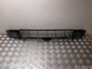 Tesla 1085927-00-C / 108592700C MODEL 3 2019 Kühlergrill